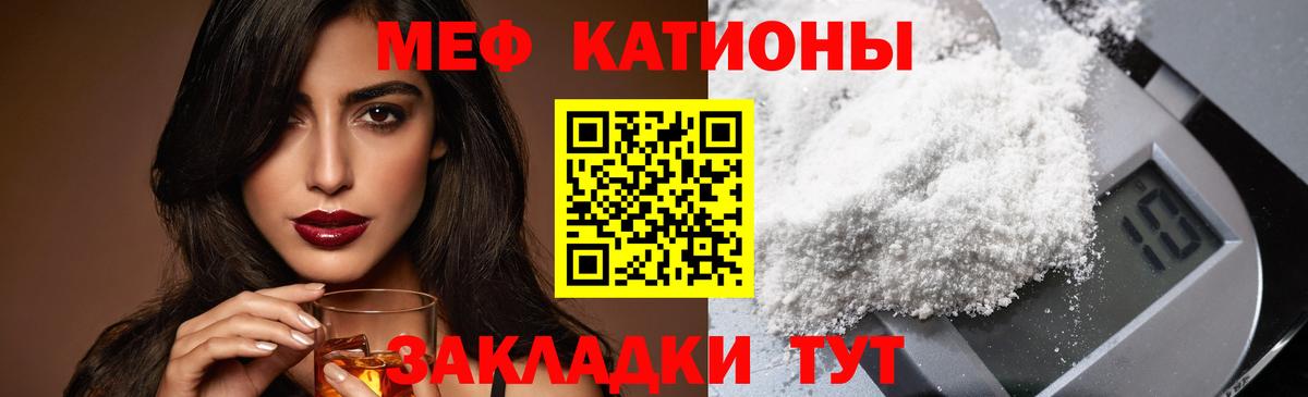 МЕФ Элиста