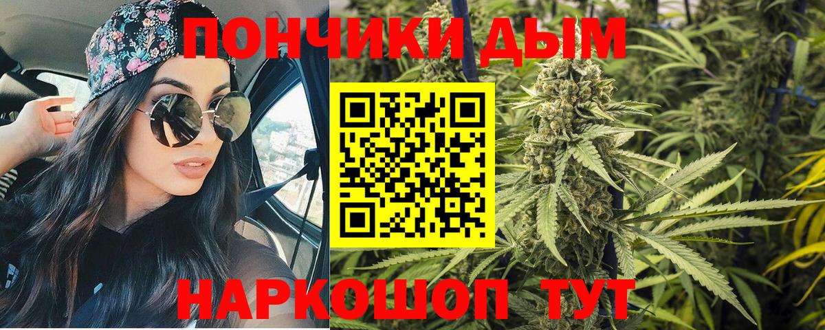 МАРИХУАНА сатива Элиста